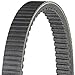 Dayco HPX5019 Drive Belt