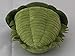 Paleozoic Pals Trilobite Plush (Greenops boothi)