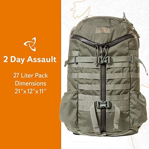 mystery ranch 1 day assault pack