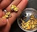 Gold Paydirt 15 oz 100% Unsearched and Guaranteed Added Gold panning alaska primary