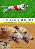 The Greyhound: A vet's guide on how to care for your Greyhound