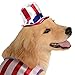 Rubie's 4th of July Pet Costume, Medium, Patriotic Pooch Girl