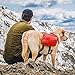 Kurgo Dog Saddlebag Backpack, Back Pack Dog Harness, Hiking Pack for Dogs, Packs for Pets to Wear, Camping & Travel Vest Harness, Reflective, Lightweight, Baxter Pack, for Medium & Large Pets