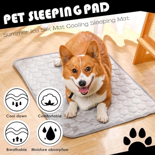 Raisand Cooling Mat for Dogs100x70cm, Scratch-Resistant Premium Polyester Fabric, Dog Cooling Mat, Non-Toxic Foldable Easy-Clean Pet Cooling Mat for Indoor, Outdoor and Car Use (XL/Grey)