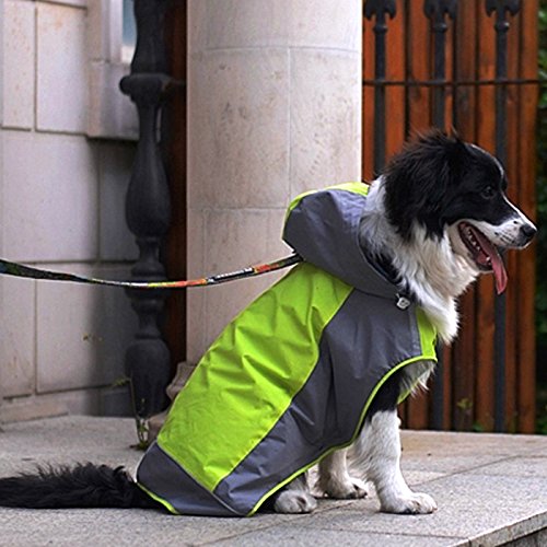 Alfie Pet by Petoga Couture - Berny Raincoat (for Dogs and Cats)