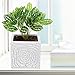 MyGift 6 Inch Decorative Spiral Design Square White Ceramic Plant Flower Container Pot/Windowsill Planter