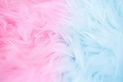 Fruidles Cotton Candy Blue and Pink Party Flavors