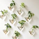 Mkono 2 Pack Wall Hanging Plant Terrarium Glass Planter, Diamond