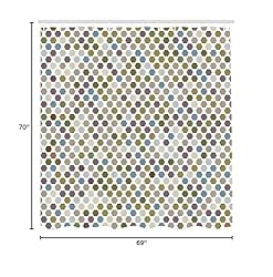 Ambesonne Geometric Shower Curtain, Abstract Zig