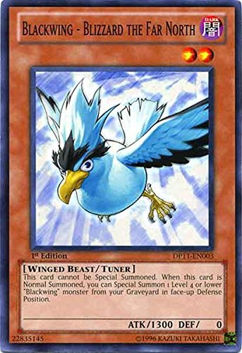 Yu-Gi-Oh! - Blackwing - Blizzard the Far North (DP11-EN003) - Duelist Pack 11: Crow - 1st Edition - Common