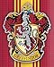 Harry Potter Style Striped Banner - Gryffindor Flag 43in x 16in - High Quality Wall Scroll - Ready to Hang - Perfect Barware Man Cave Gift - Unique HP Collectible Accessories