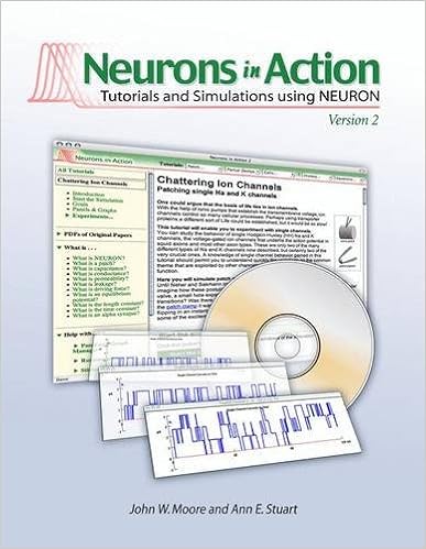 Amazon.com: Neurons In Action 2: Tutorials and Simulations ...