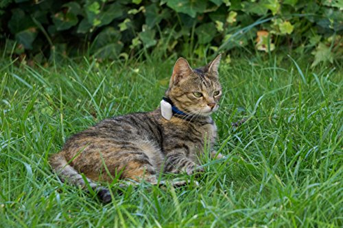 Girafus® Pro-track-tor Pet Safety Tracker RF Technology Dog and Cat Tracker Finder Locator Very Light &Small only 4.2gr-4 TAGS