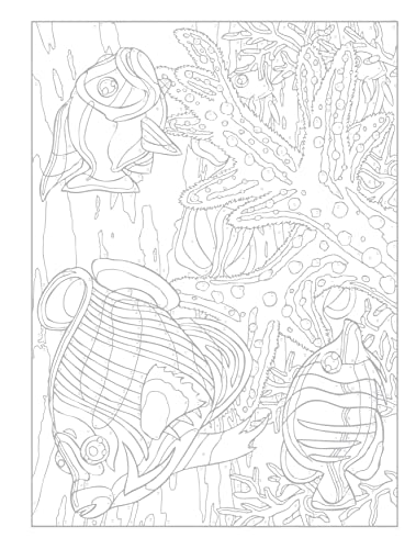 Creative Haven Sea Life Color by Number Coloring Book (Creative Haven