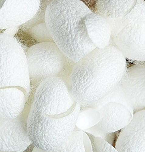 Papaya Shop 50 Pcs. Organic Natural White Silk Cocoon Balls Facial Skin Care Scrub