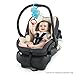 Bright Starts Jammin' Jungle Activity Gym