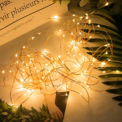 Fairy Lights Plug in, 100Ft 300LED Waterproof Firefly Lights on Copper Wire UL Adaptor