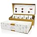 Tea Forte Winter Chalet Petite Presentation Box Tea Gift Set Sampler, 10 Count, 2 of Each Variety Individually Wrapped Handcrafted Pyramid Infuser Bags