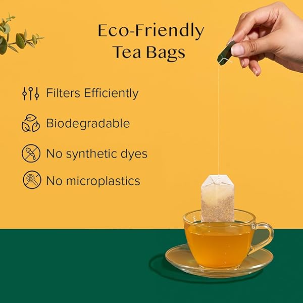 VAHDAM, ORGANIC TURMERIC GINGER HERBAL TEA BAGS (18 COUNT) CAFFEINE FREE, GLUTEN FREE | 100% PURE HERBAL BLEND – EARTHY & SAVORY | ECO-FRIENDLY INDIVIDUALLY WRAPPED TEA BAGS | DIRECT FROM SOURCE