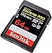SanDisk 64GB SDXC Extreme Pro Memory Card Works with Canon EOS R, M50, M100 Mirrorless Camera 4K V30 UHS-I (SDSDXXY-064G-GN4IN) with (1) Everything But Stromboli (TM) Combo Reader