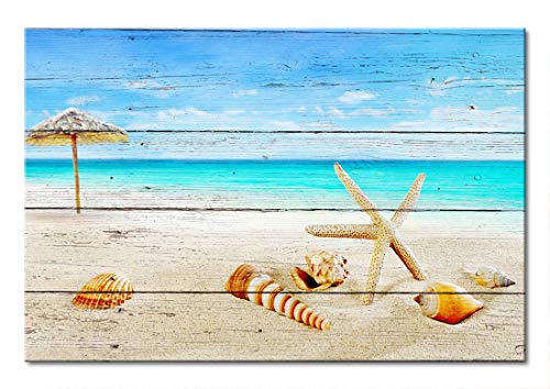 51egLTvHoEL 51egLTvHoEL