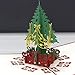 3D Christmas Cards Pop Up Greeting Cards, Funny Unique 3D Holiday Postcards - Gifts for Xmas, Religious Boxed Merry Christmas Thank You Cards