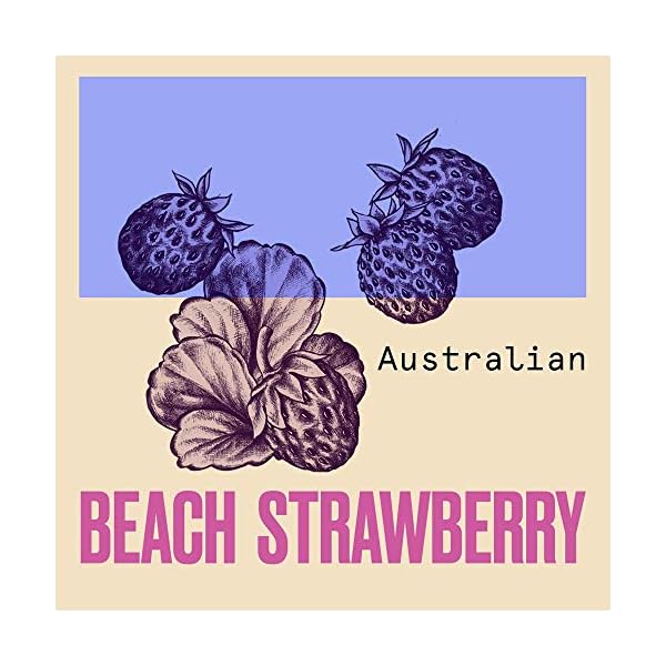 Aussie-Miracle-Shine-Conditioner-250-ml-Pack-of-6 Aussie Miracle Shine Conditioner 250 ml - Pack of 6