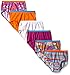 Fruit of the Loom Little Girls' Girls' Wardrobe Cotton Brief (Pack of 6)