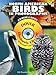 North American Birds in Photographs CD-ROM and Book (Dover Electronic Clip Art)