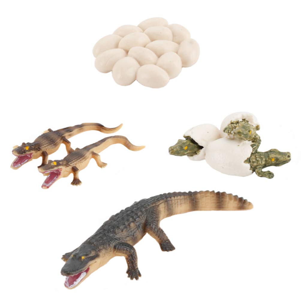 STOBOK Crocodile Life Cycle Toys - Plastic Crocodile And Eggs Figurines, Animal Life Cycle Educational Toys for Kids, Toddlers, Easter Party Decoration, 10x3cm