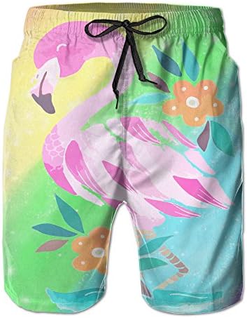 Cute Happy Pink Flamingo Men's Board Shorts Trunks Summer Swim Tropical XL-gogoswim