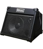 Amazon.com: Coolmusic BP40D Powered Acoustic Guitar Amplifier
