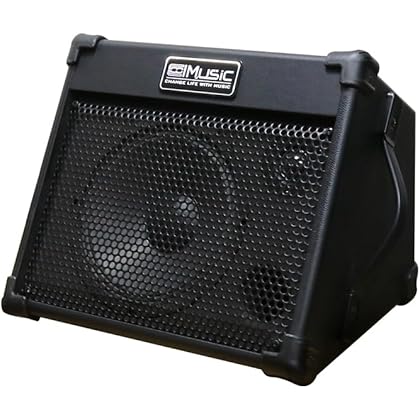 Roland MOBILE-CUBE Stereo Amplifier, Black : Amazon.ca: Musical