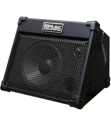 Amazon.com: Coolmusic BP40D Powered Acoustic Guitar Amplifier
