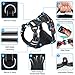 BABYLTRL Big Dog Harness No Pull Adjustable Pet Reflective Oxford Soft Vest for Large Dogs Easy Control Harness (M, Black)