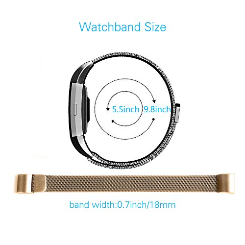 Fitbit Charge 2 Bands (2-Pack), Tecson Stainless Steel Milanese Loop Replacement Bracelet Strap with Unique Magnet Lock for Fitbit Charge 2,(Champagne Gold & Black)