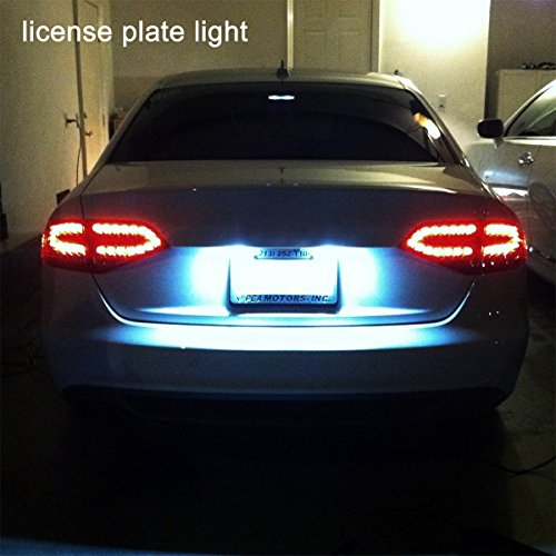 6 Cougar+Motor+Replacement+Interior+Courtesy