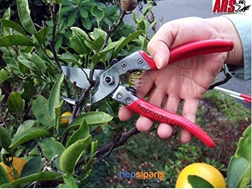 ARS 7-Inch Secateurs, Red Handles, 7 Inches - Image 5