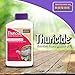 Bonide (BND802) - Leaf Eating Worm & Moth Killer, Thuricide Bacillus Thuringiensis (Bt) Outdoor Insecticide/Pesticide Liquid Concentrate (8 oz.) primary
