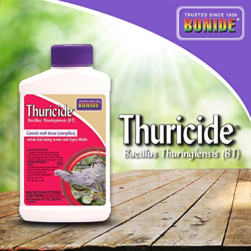 Bonide (BND802) - Leaf Eating Worm & Moth Killer, Thuricide Bacillus Thuringiensis (Bt) Outdoor Insecticide/Pesticide Liquid Concentrate (8 oz.)