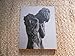 Captured Motion: The Sculpture of Harriet Whitney Frishmuth. A Catalogue of Works