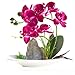 Imiee Artificial Phaleanopsis Arrangement with Vase Decorative Orchid Flower Bonsai (Purple)