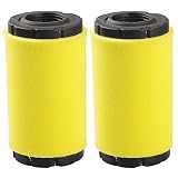 Hipa 793569 Air Filter for Briggs and Stratton 793685 John Deere GY21055 MIU11511 B & S Intek Series 20-21 Gross HP Lawn Mower Tractor (Pack of 2)