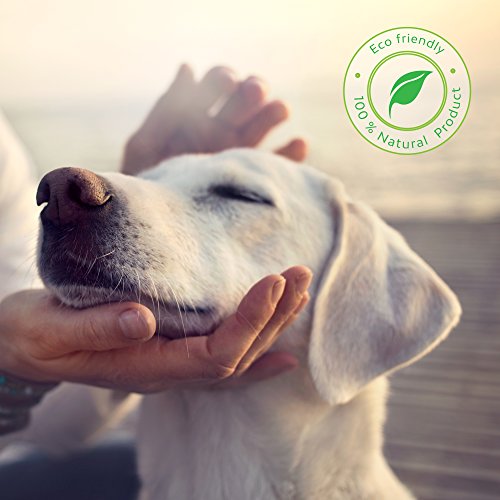 Hemp Oil 100% Extra Virgin Cold Pressed Natural Joint Supplement for Dogs, Cats, and Horses, 500 ml - Image 6