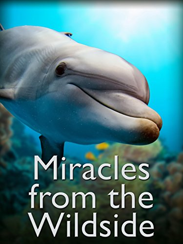 Miracles From the Wildside