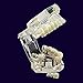 ZJKC Transparent Dental Implant Disease Teeth Model Dentist Standard Pathological Removable Tooth Teaching Tools