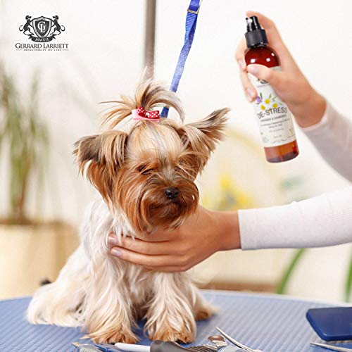 Lavender & Chamomile Aromatherapy Freshening & Shining Spray For Pets
