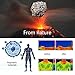 EMF Protection Sticker for Smartphone- Anti-Radiation Shield for Phone, Laptop, Tablet, Microwave, Kindle- Blocks Radiation Neutralizer- Fashionable Bumper Sticker- Healthier Environment (Gold)