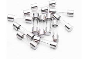 Fymusing 12Pcs 4A 125v Fuse,Fast Blow Glass Fuse / 0.2 x 0.78 inch / 5 x 20 mm for Outdoor String Lights,Christmas Lights, Box Fans (4A)…