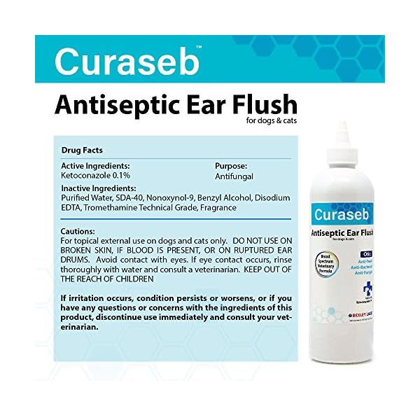 curaseb antiseptic ear flush